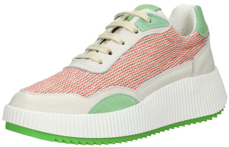 Palpa Veterschoenen Laag groen