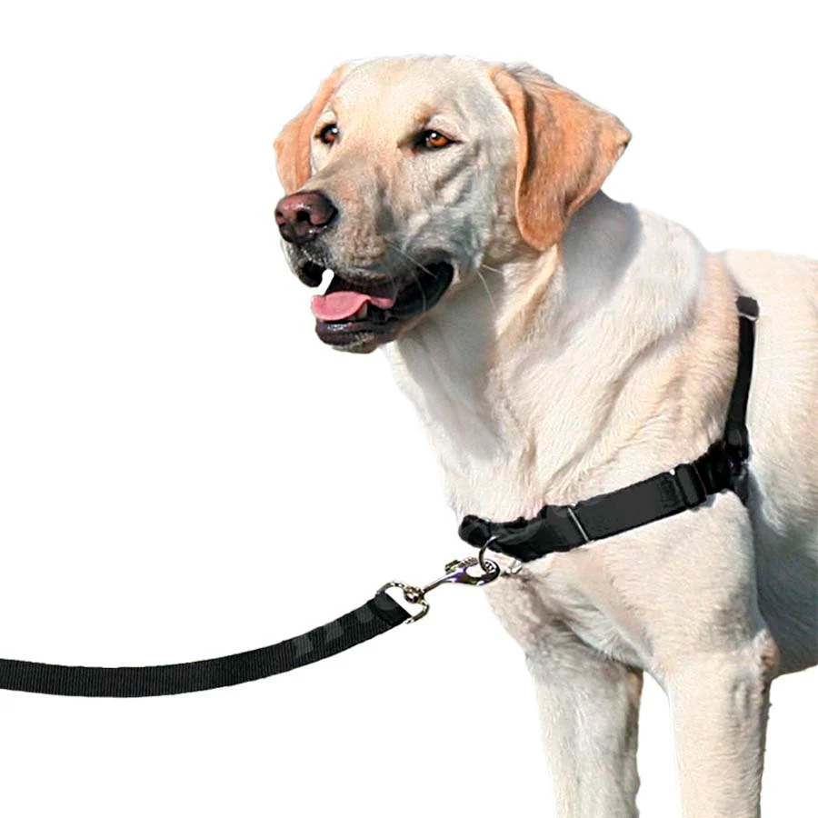 Coleira peitoral preta Nayeco Easy Walk para cães