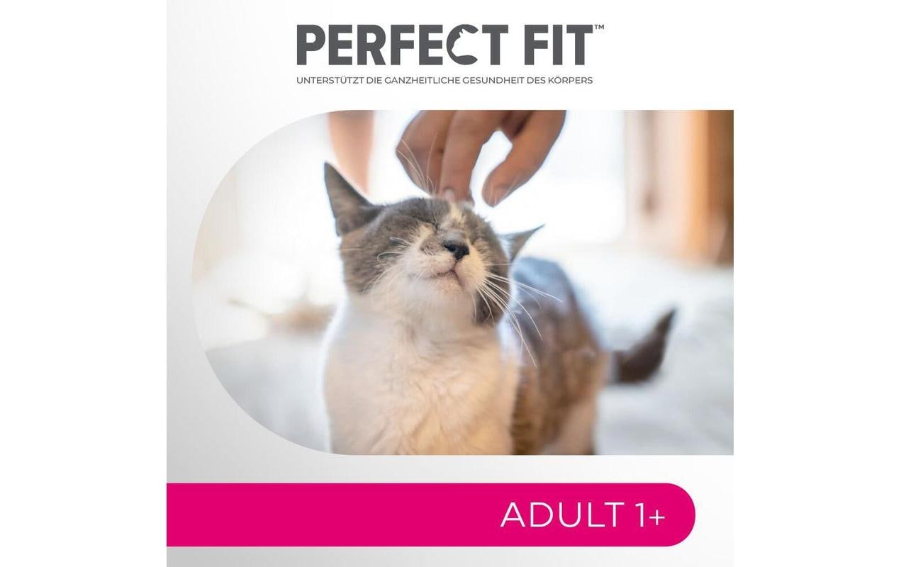 Trockenfutter CAT Trocken Adult 1+ Lachs, 1.4 kgAlleinfuttermittel für ausgewachsene Katzen
