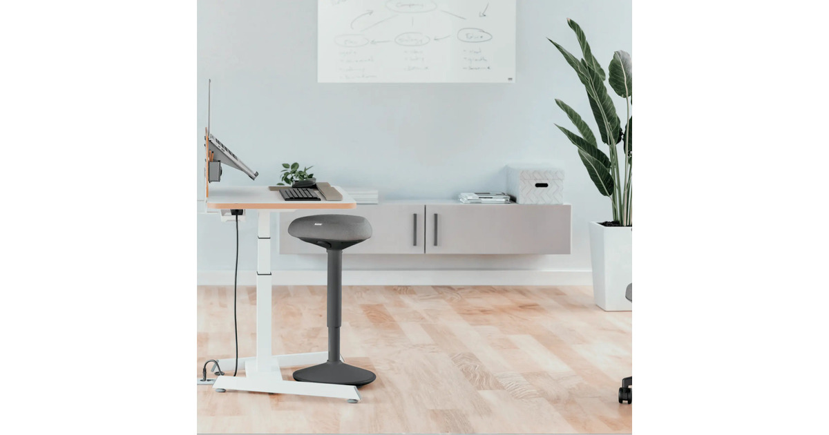 LeitzErgo Wiebelkruk met Gasveer (57 - 82 cm) stoel  (Donkergrijs)