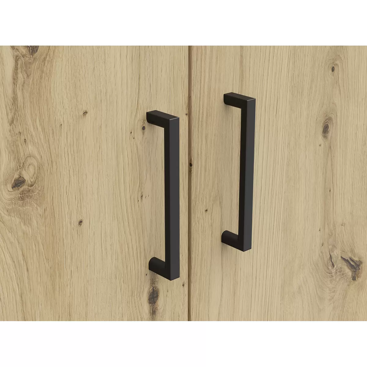Drehtürenschrank 2T Cabinet Artisan Eiche