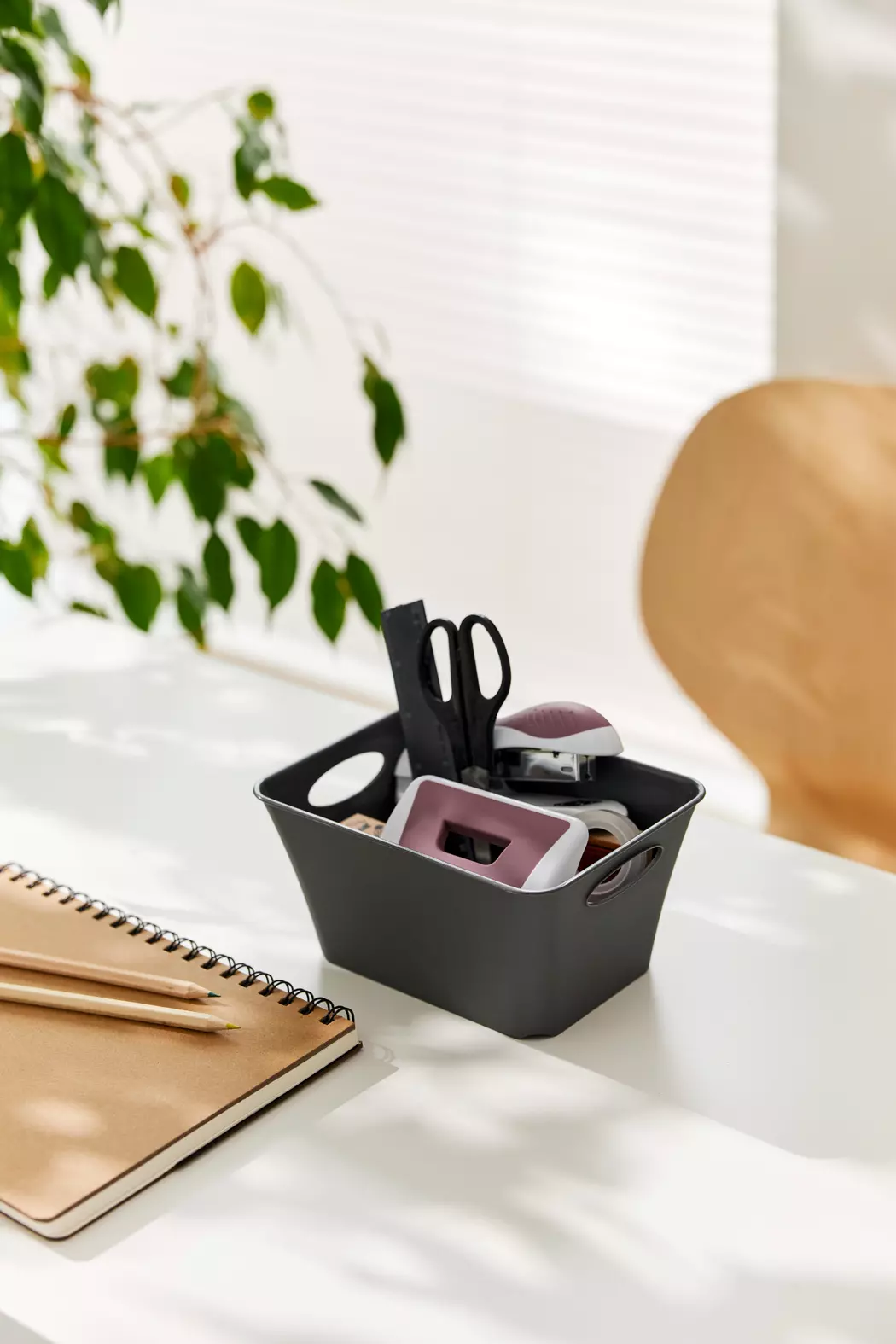 Aufbewahrungsbox Living 1,5l