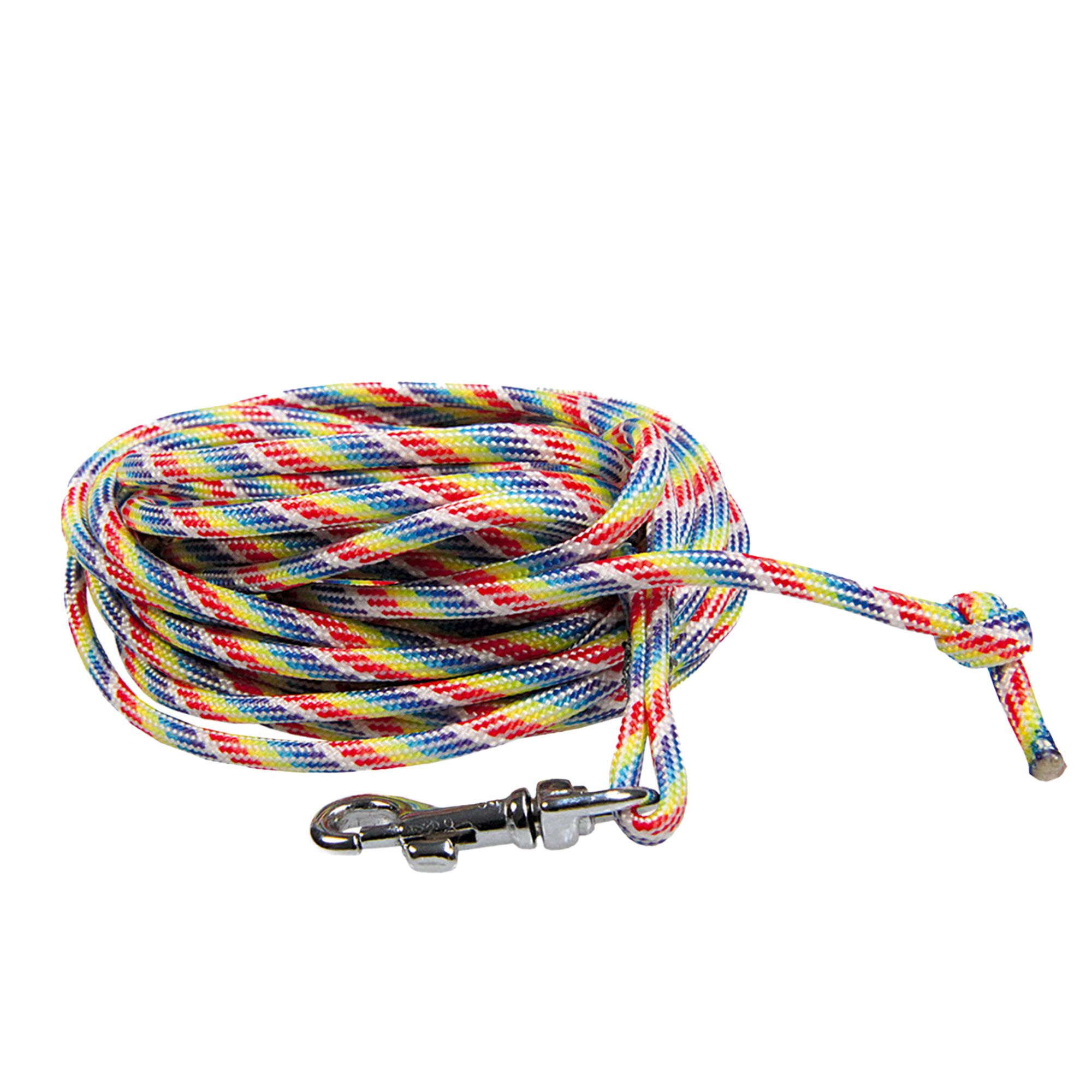 Schecker Hundeleine - Schleppleine Baby