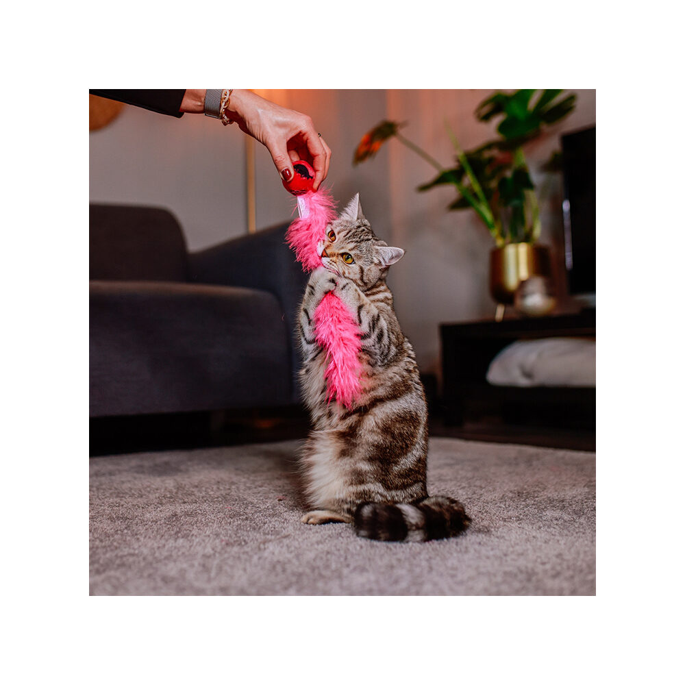 Nobby Bal met Veren Kattenspeelgoed