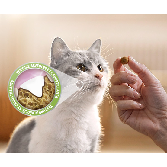 Friandises au Saumon pour Chat - 40g