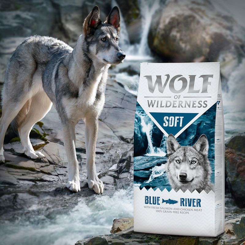 Wolf of Wilderness Soft Blue River, saumon