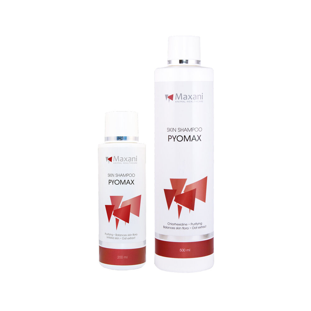 Maxani PyoMax Skin Shampoo