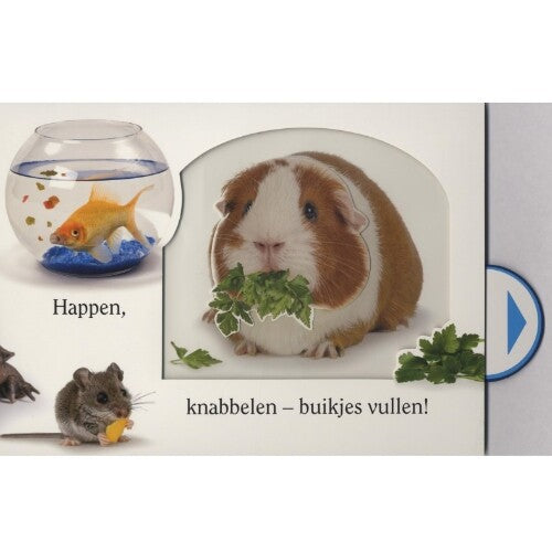 Veltman uitgevers voelboekje aai!