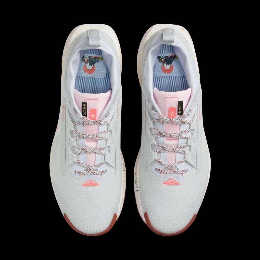 Nike Pegasus Trail 5 GORE-TEX