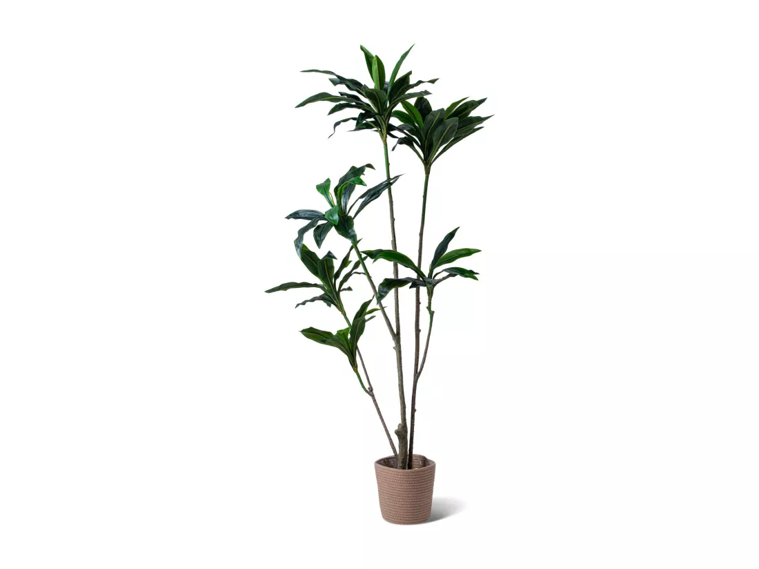 Dracaena - Plante artificielle en pot H150 cm
