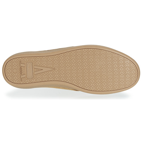 Armistice - STONE ONE - Camel