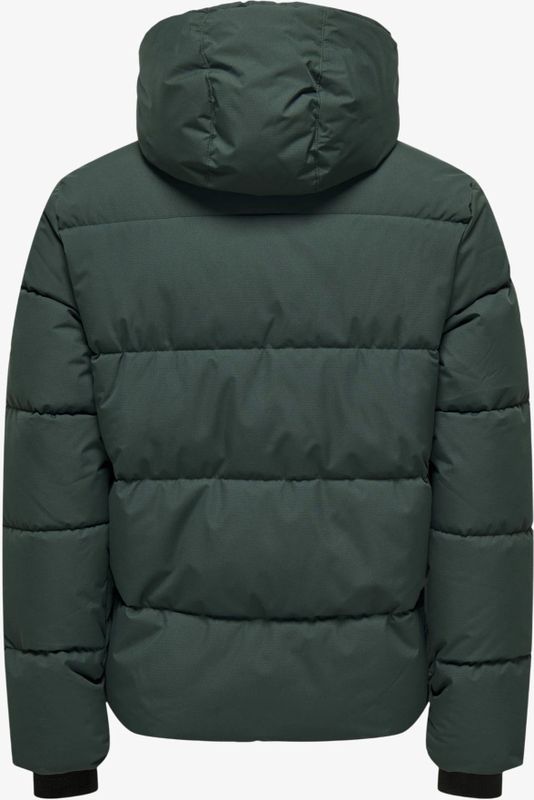 ONLY & SONS - JUNIOR - Gewatteerde Jas - Donkergroen