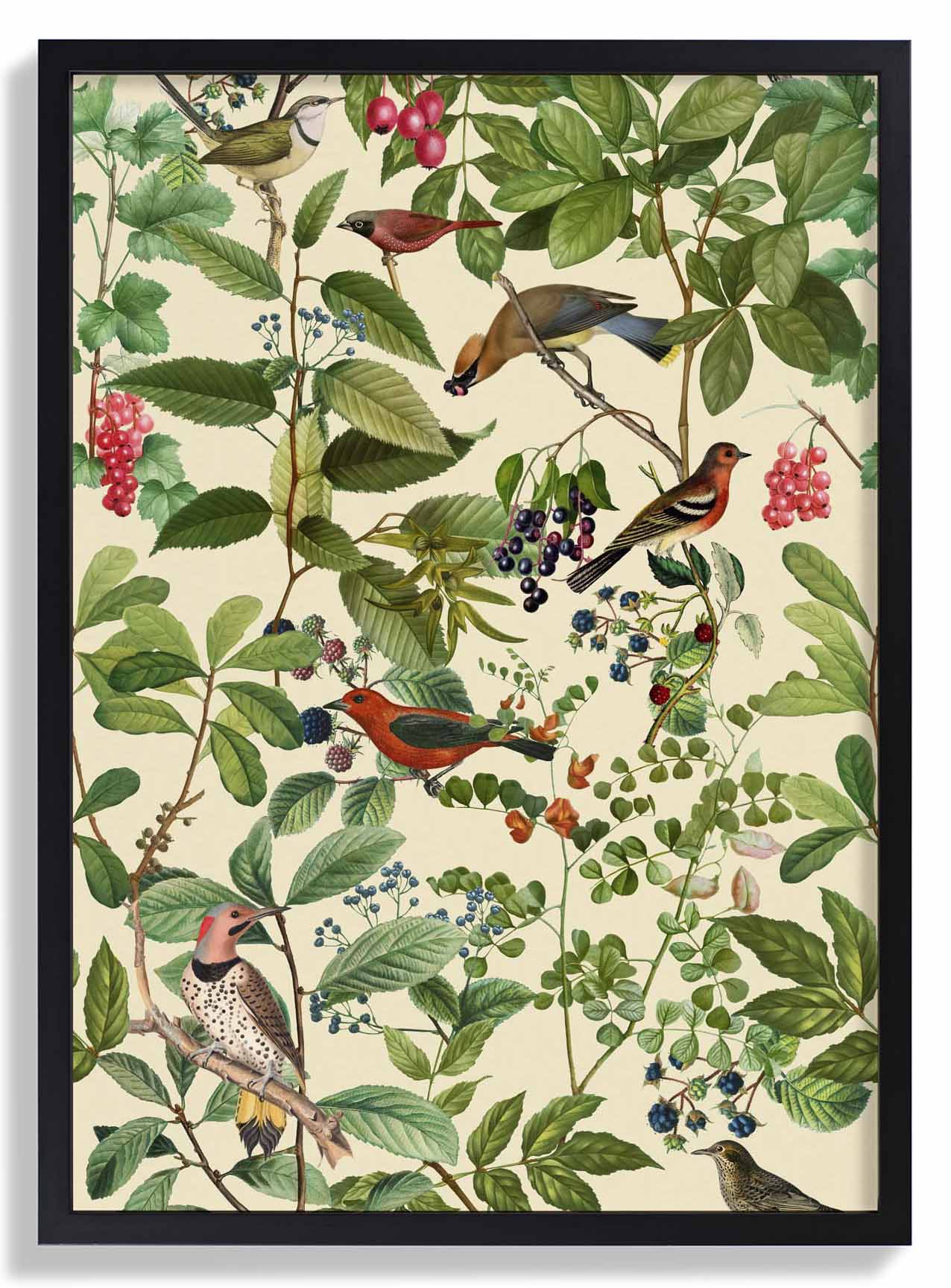 Vögel und Beeren von Andrea Haase