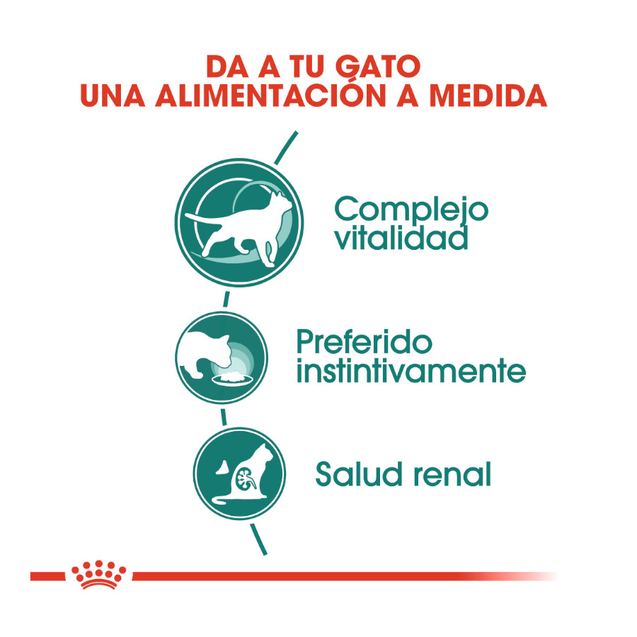 Sachês Royal Canin Senior 7+ Instinctive para gatos