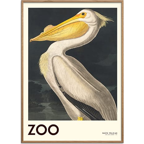 The Zoo Collection Pelican - 70x100 cm