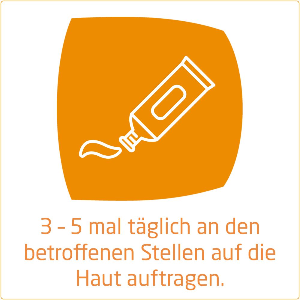 Arnika-Salbe 30% zur wirksamen Behandlung von Prellungen, Hämatomen, Zerrungen und Quetschungen