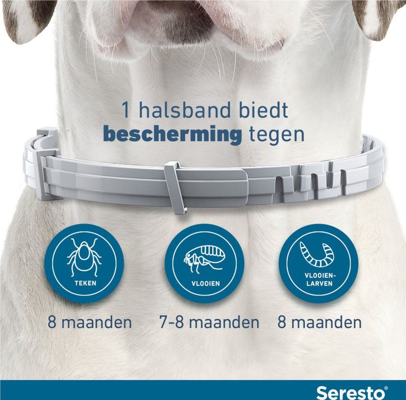 Seresto Teken- En Vlooienband - Anti Tekenmiddel - 2 Stuks