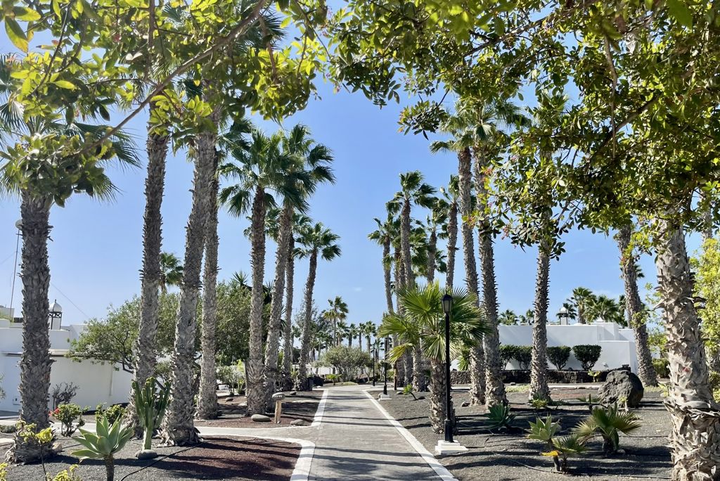 Palmeras Garden Logies - Appartement