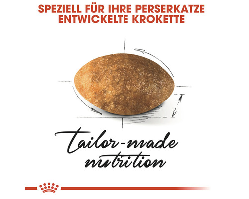 ROYAL CANIN Perzische droogvoer voor katten 10 kg