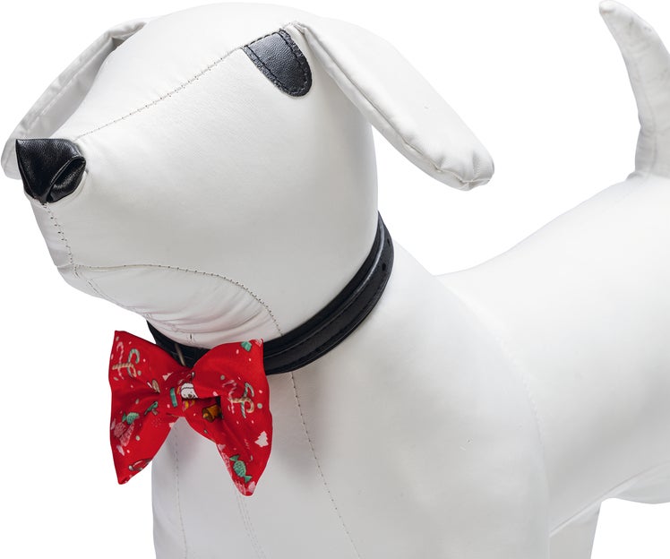 Beeztees hondenstrik met lampje rood onesize