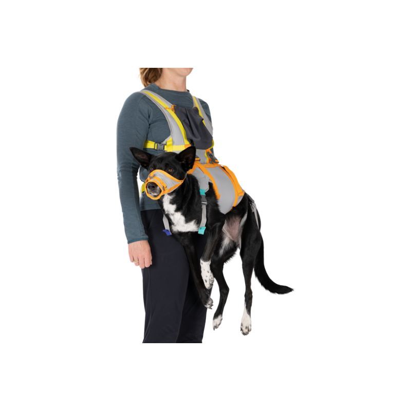 BackTrak Dog Evacuation Kit - Harnais pour chien