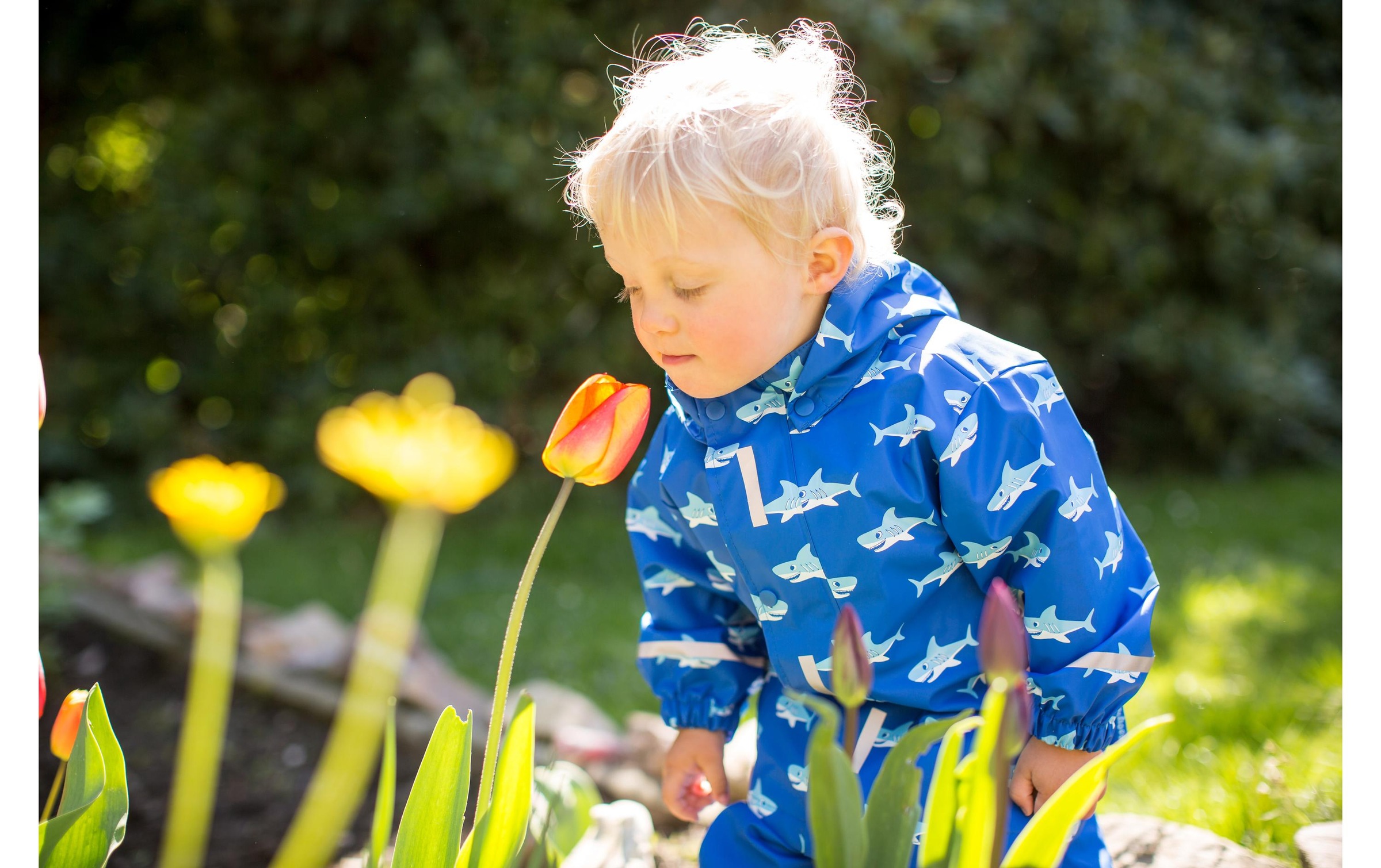 Playshoes Regenanzug »Hai G«