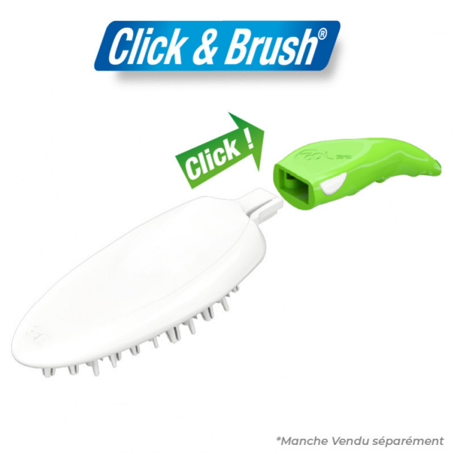Brosse de massage Foolee Easee