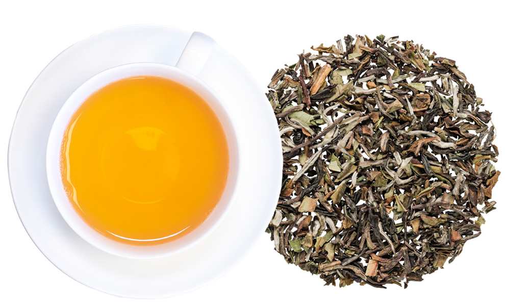 Aktion Nepal FTGFOP First Flush Bio (1 Kg)