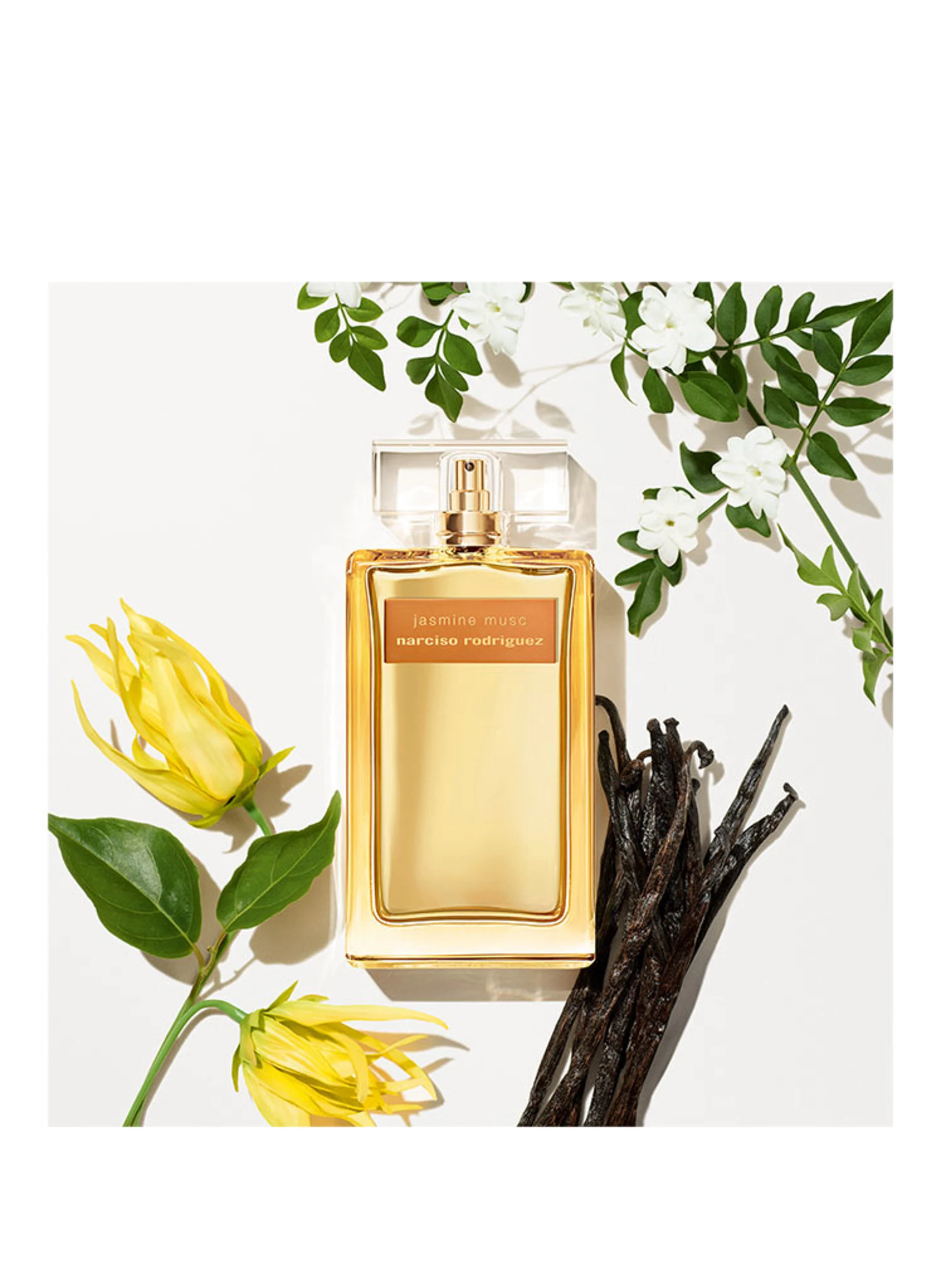 narciso rodriguez JASMINE MUSC