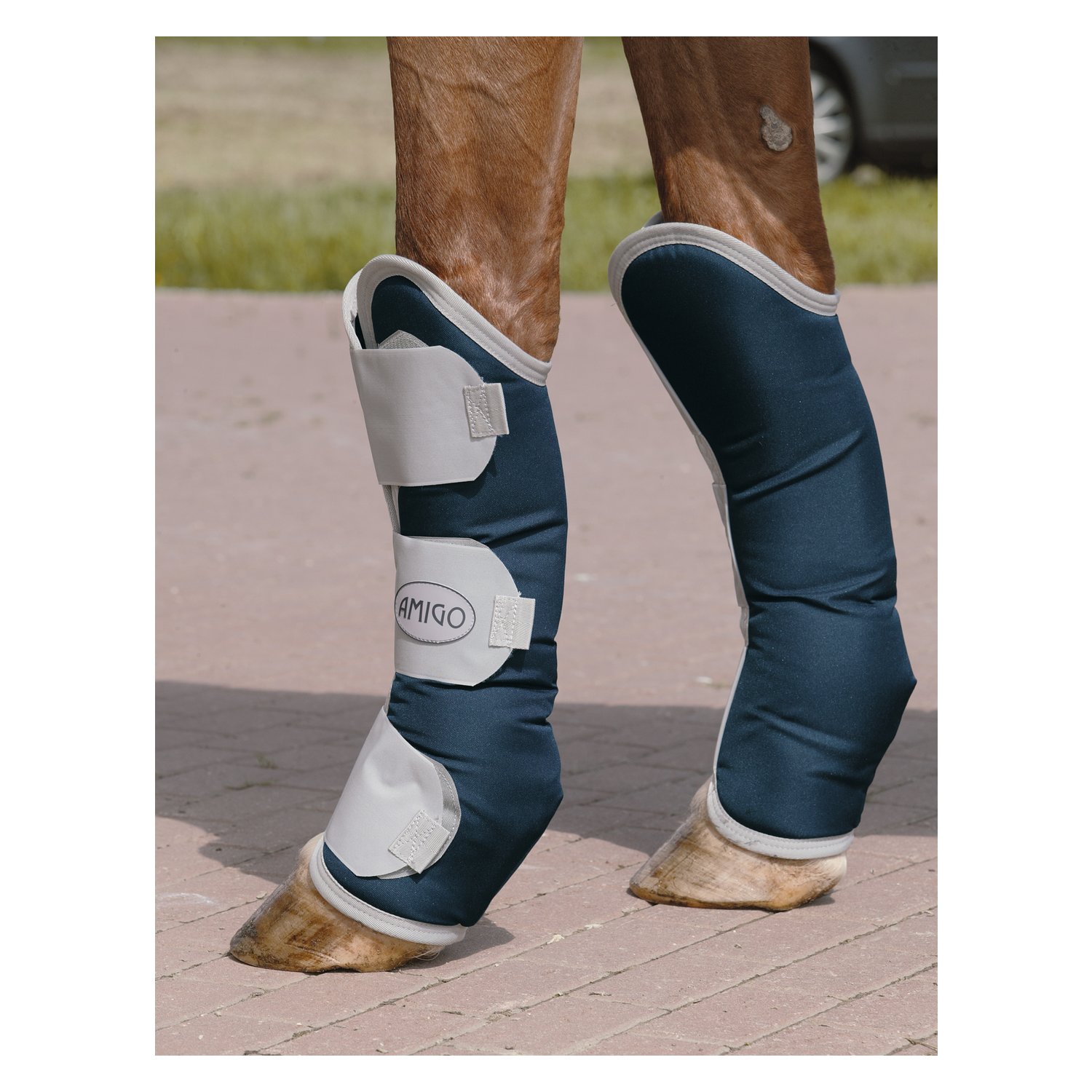 Horseware AMIGO Transportgamaschen-Set  - navy