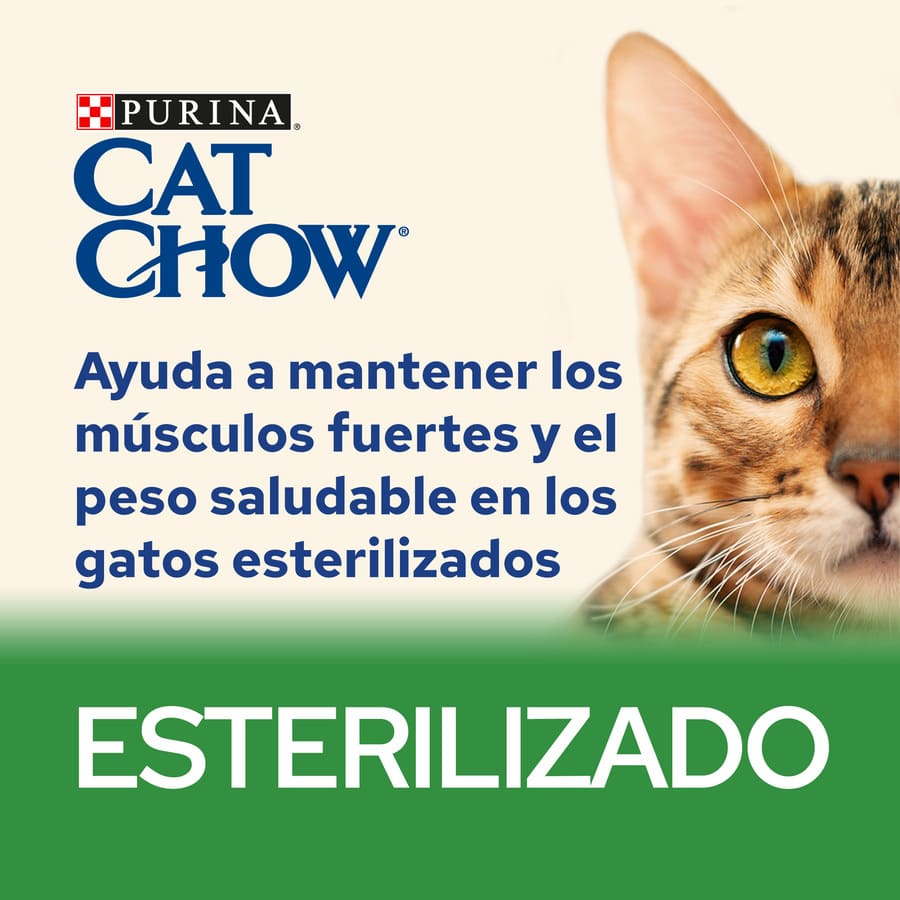 Sachê esterilizado de ração Cat Chow com frango para gatos