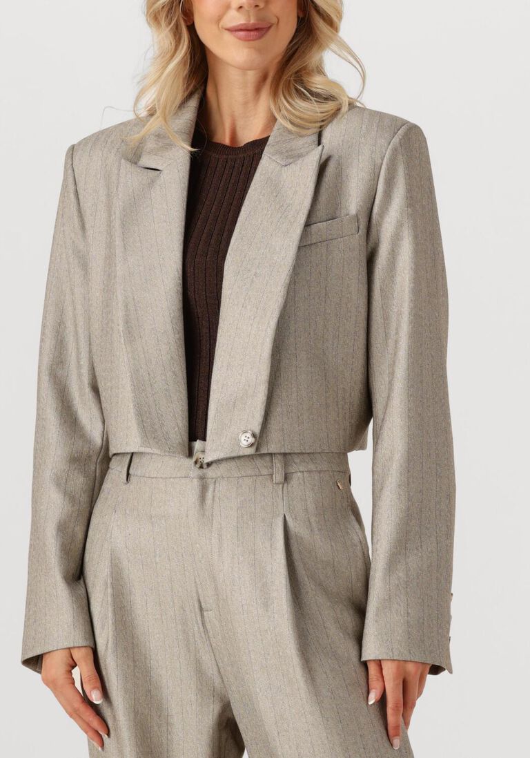 taupe ibana blazer jelah pinestripe
