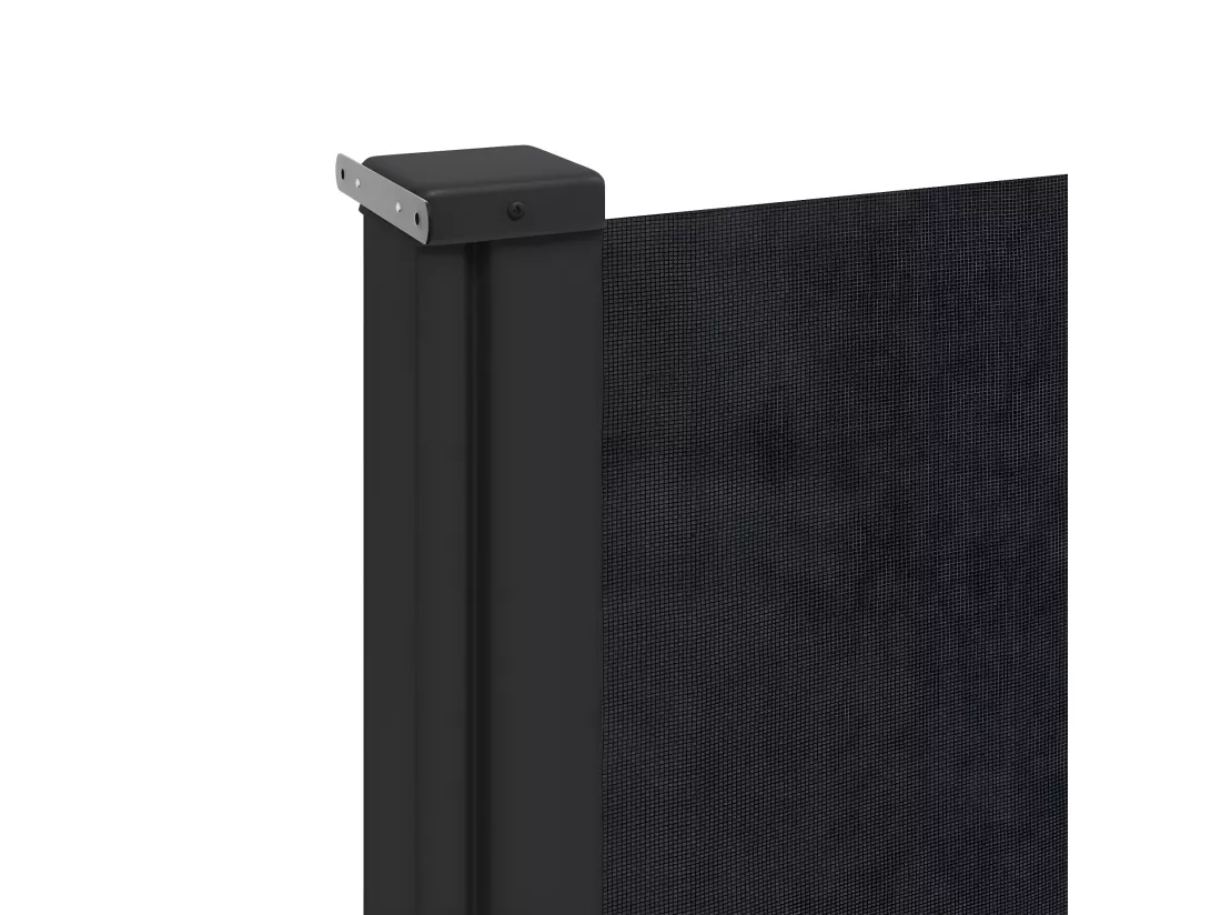 Auvent latéral rétractable noir 220x600 cm