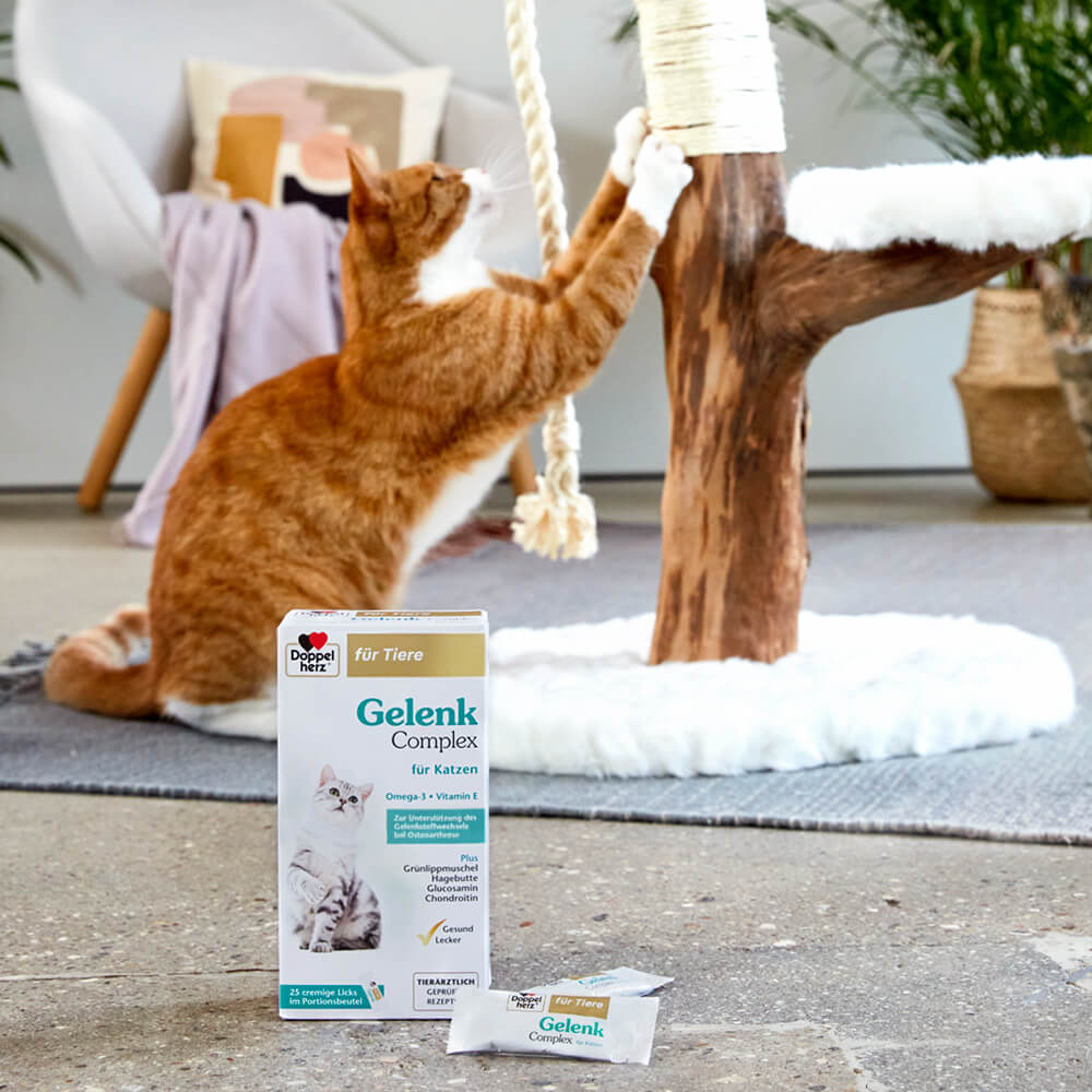 Doppelherz Gelenk Complex voor Katten