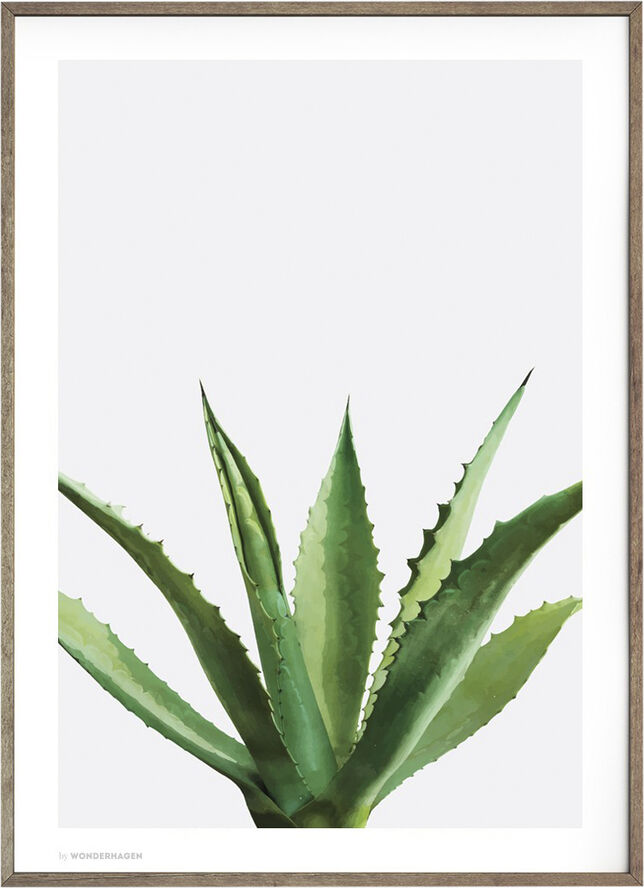 Poster & Frame Wonderhagen - Agave plakat Grøn
