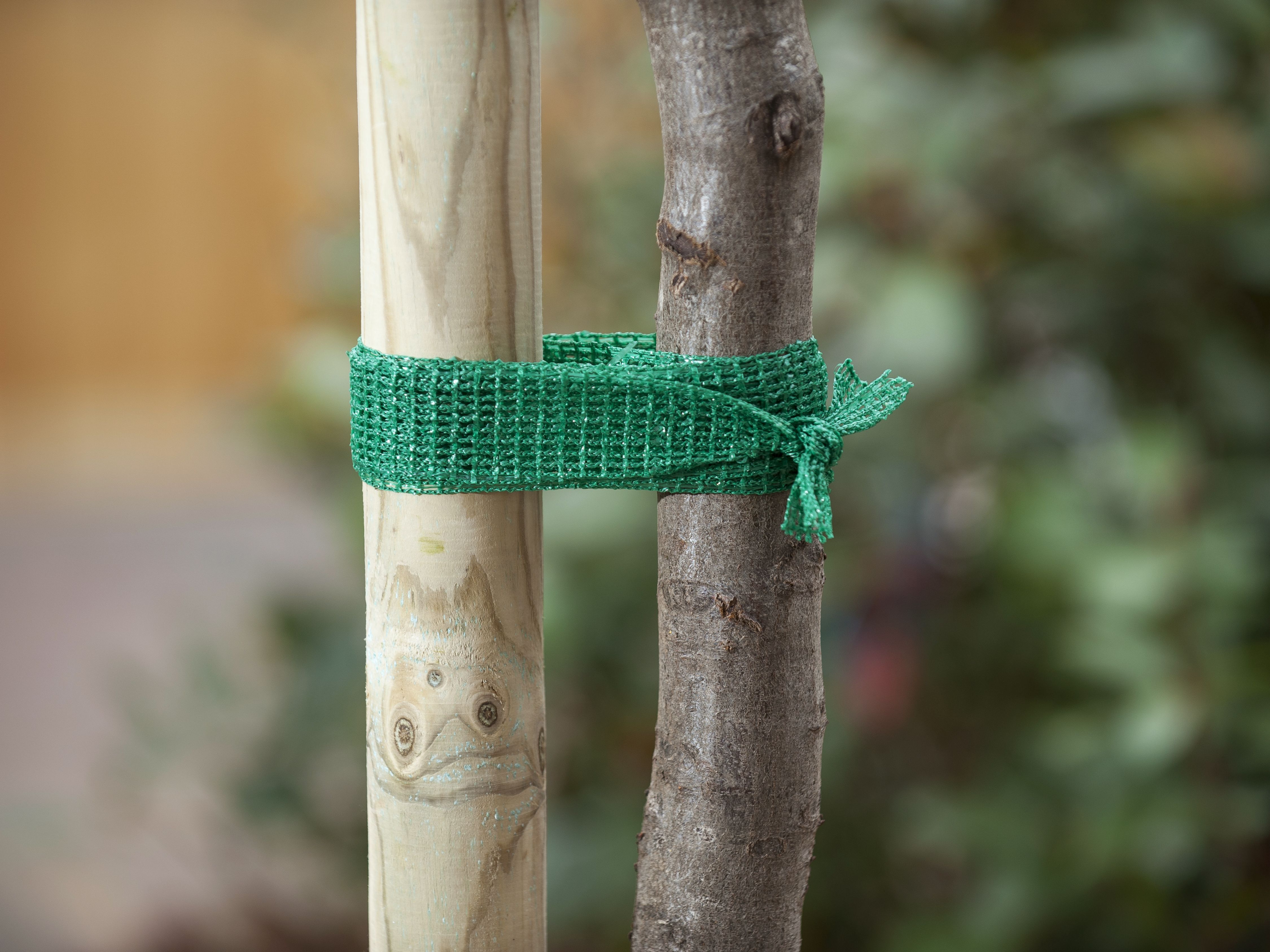 Nature Boomband - 200x4cm - Touw en Bindmaterialen - 22x6.5x2.2 cm