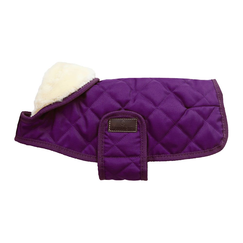Kentucky ORIGINAL - Manteau pour chien royal purple