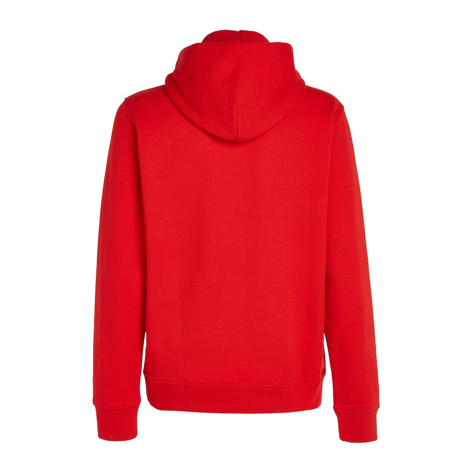Tommy Jeans TJM REG BADGE HOODIE EXT