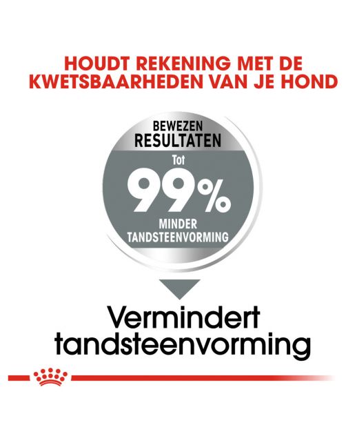 Royal Canin Dental Care Medium - Hondenvoer