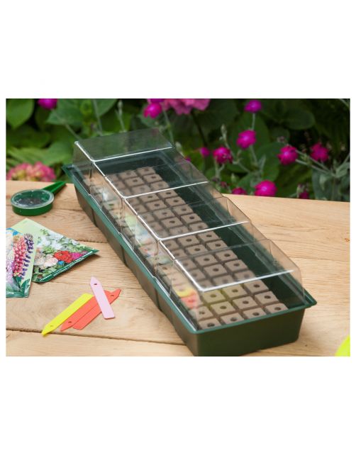 Nature Vensterbankkweekset - Vensterbanktuin - 15.5x49x10 cm Groen Transparant
