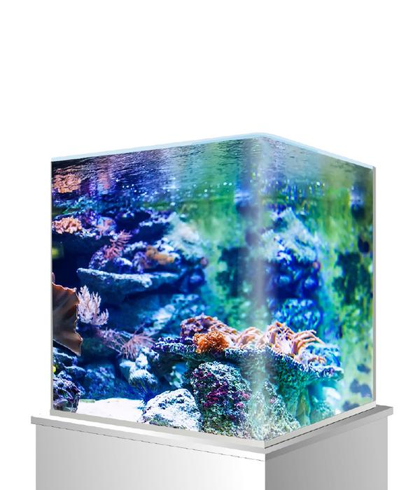 amtra Aquarium Nanotank