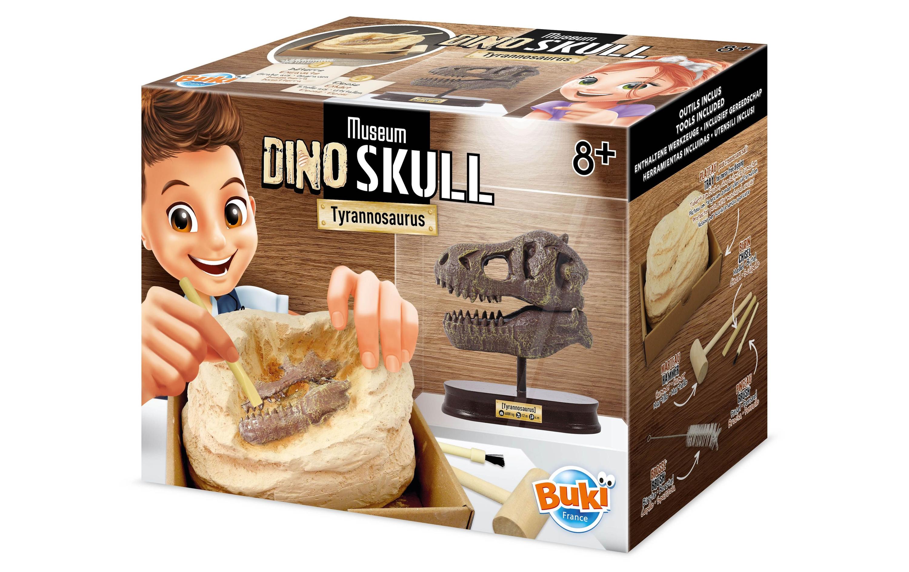 Experimentierkasten Dinosaurierschädel – TyrannosaurusDino und Archäologie