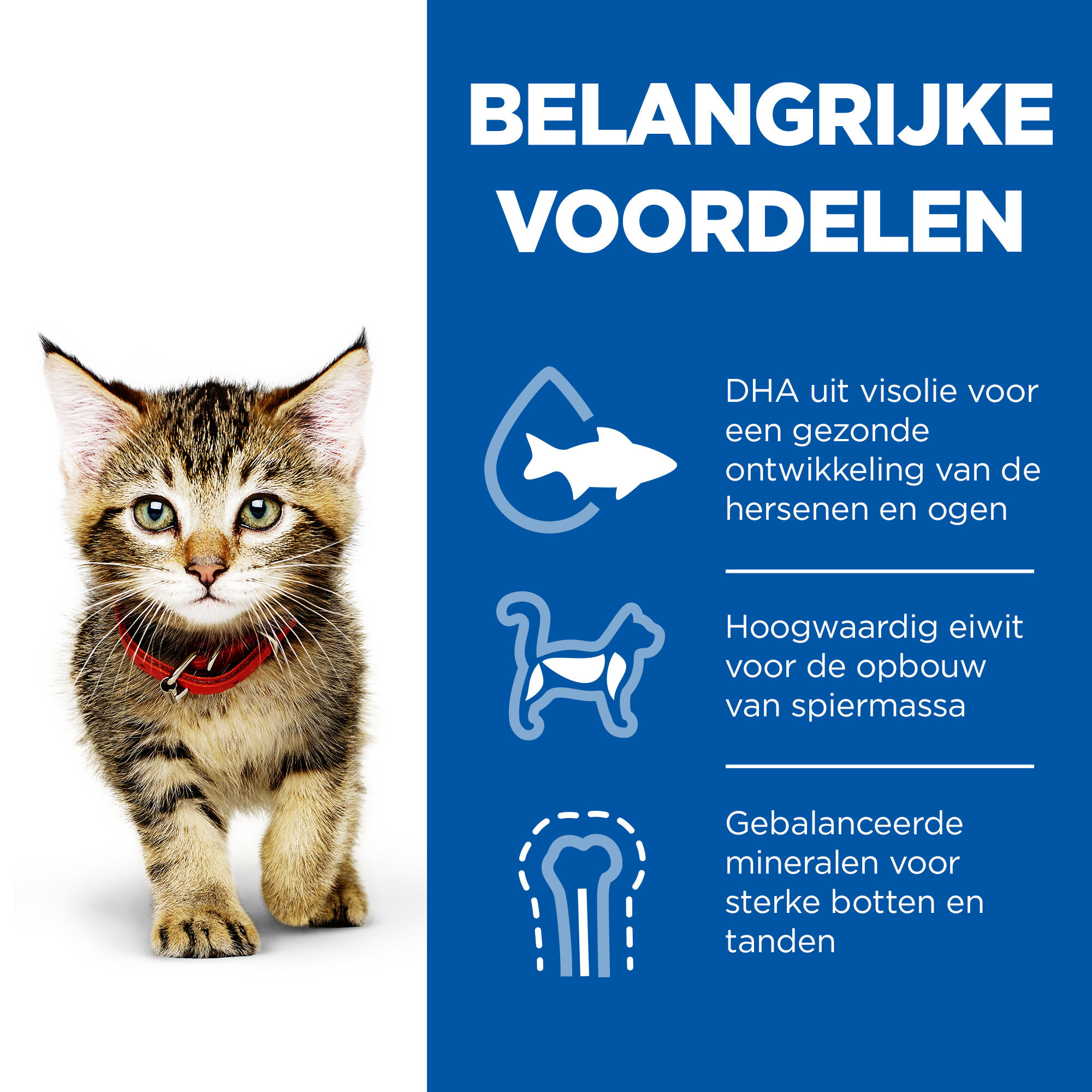 Hill's Science Plan - Kitten - Zeevis - Maaltijdzakje