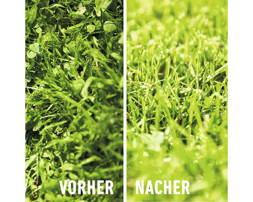 Onkruidverdelger voor gazons COMPO Banvel® Quattro 10 ml 10 m² Enkele dosis