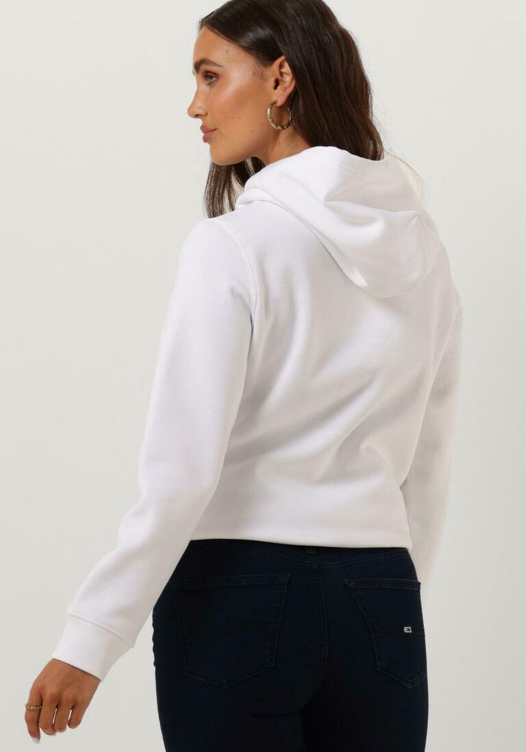 TOMMY JEANS witte tommy jeans sweater tjw regular fleece hoodie