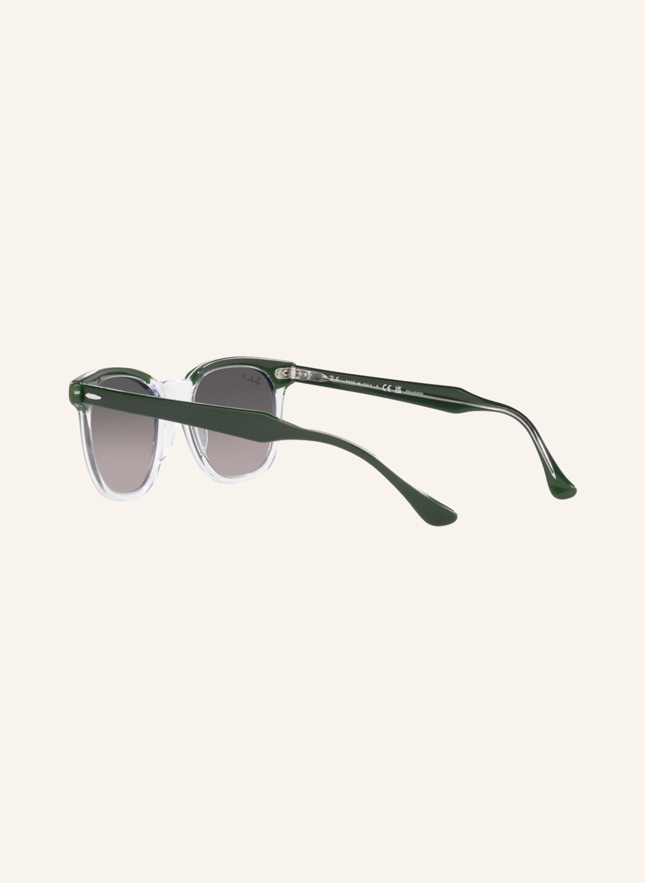 Ray-Ban Sonnenbrille RB2298