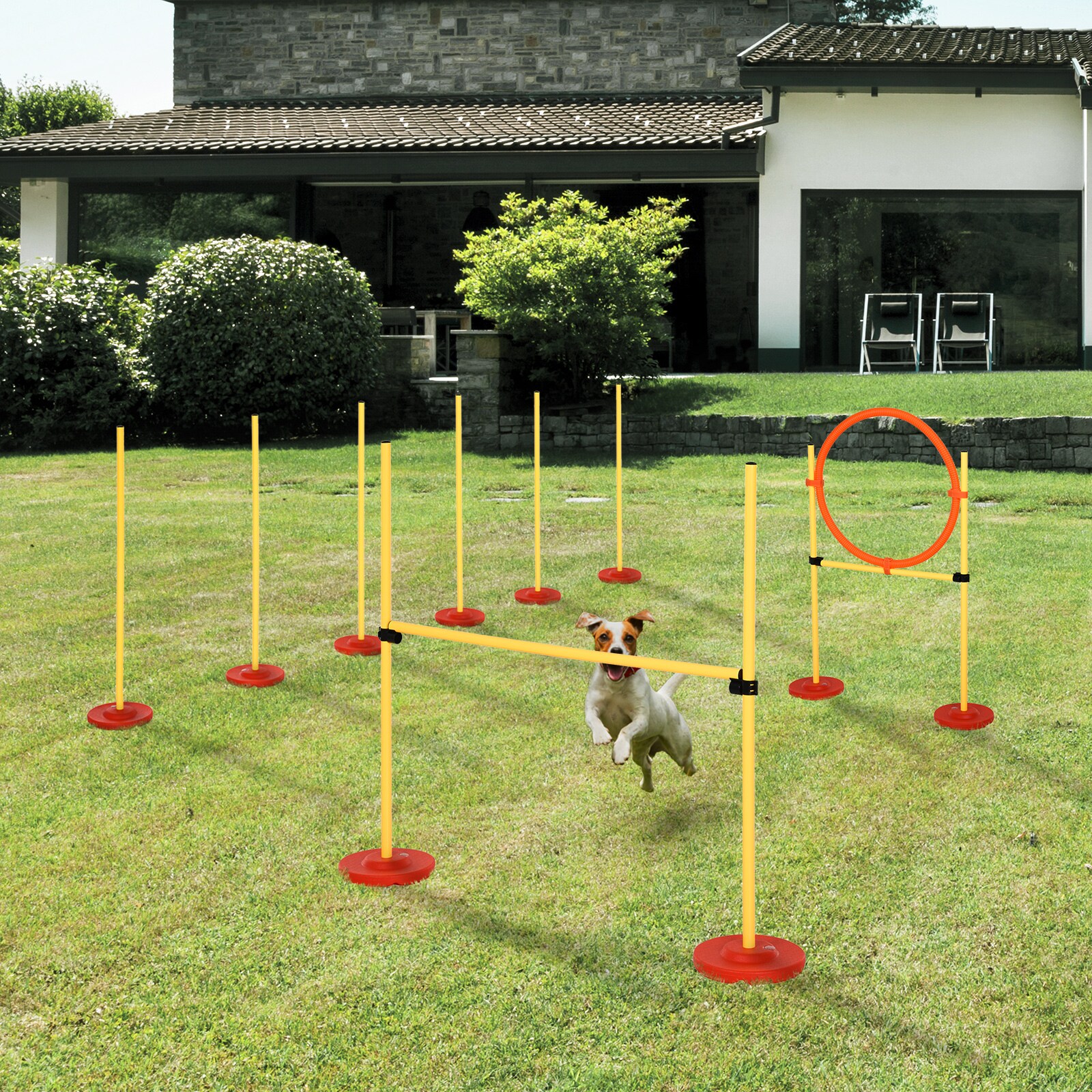 PawHut Agility Set 3-in-1-Training gelb