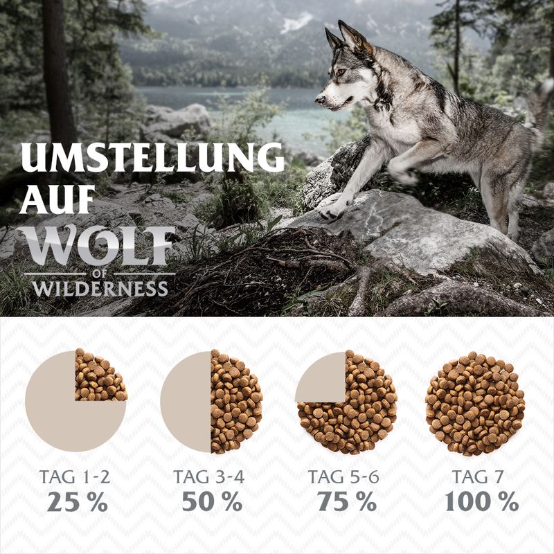 Wolf of Wilderness Junior, canard pour chiot
