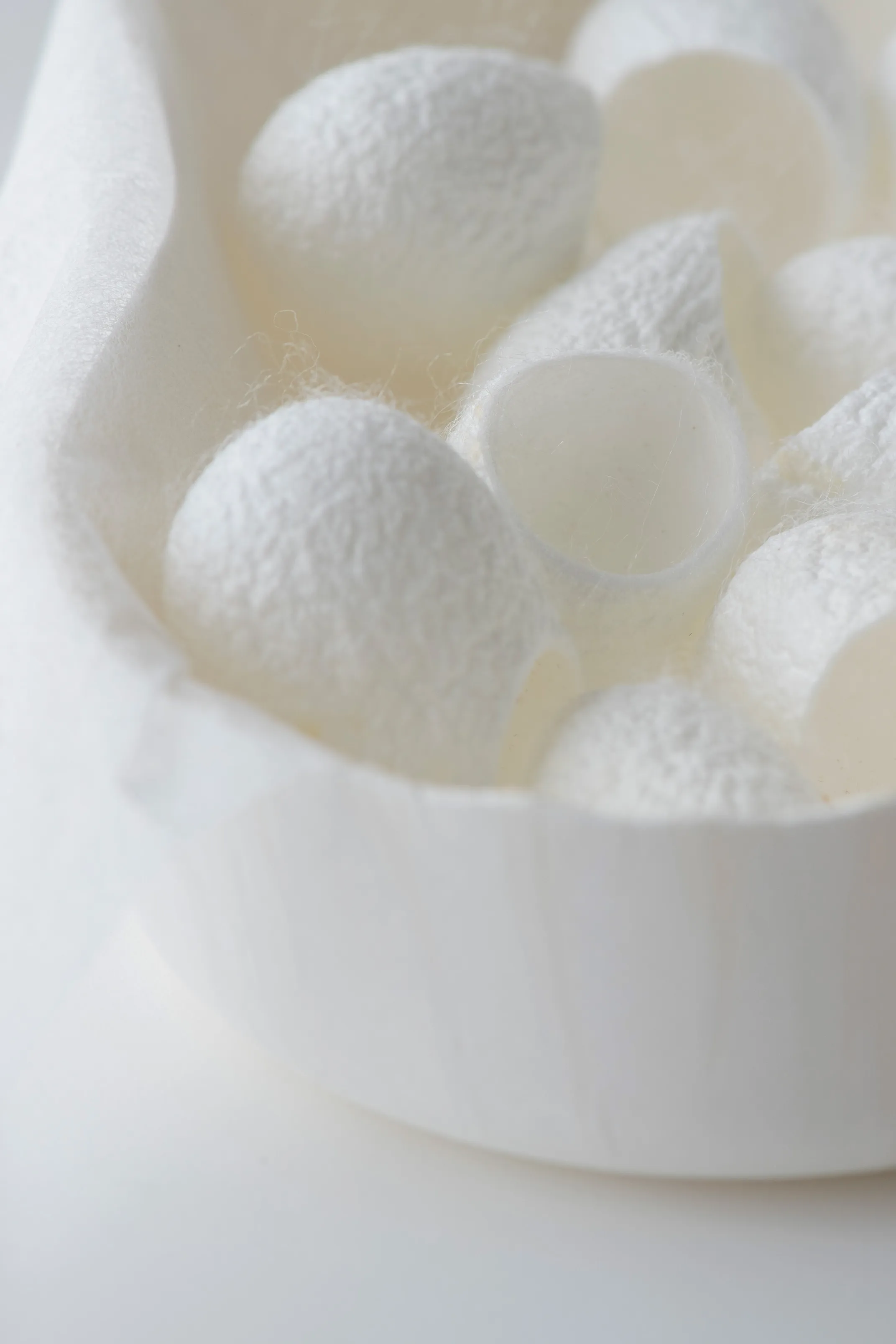 Cokon Lab Cocons de soie exfoliants
