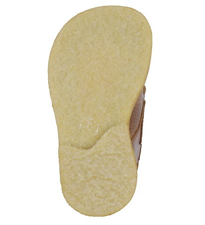 Angulus Winterstiefel - Tex - Kognac
